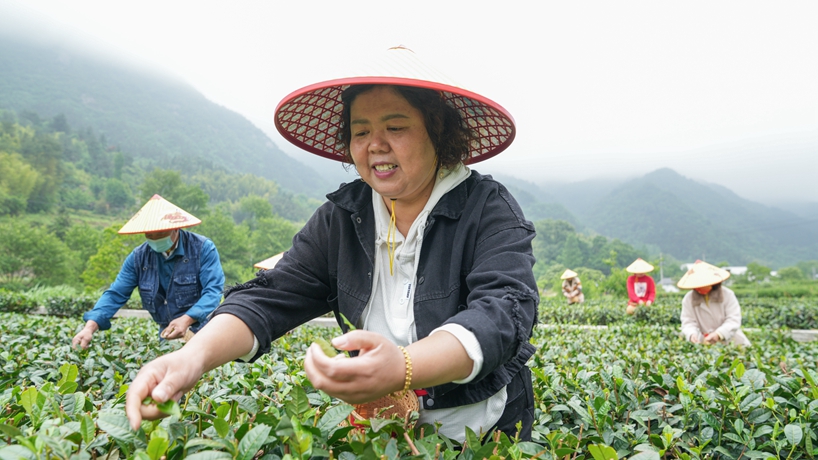 守“綠”換“金”！大別山區(qū)“兩山”實踐創(chuàng)新基地觀察