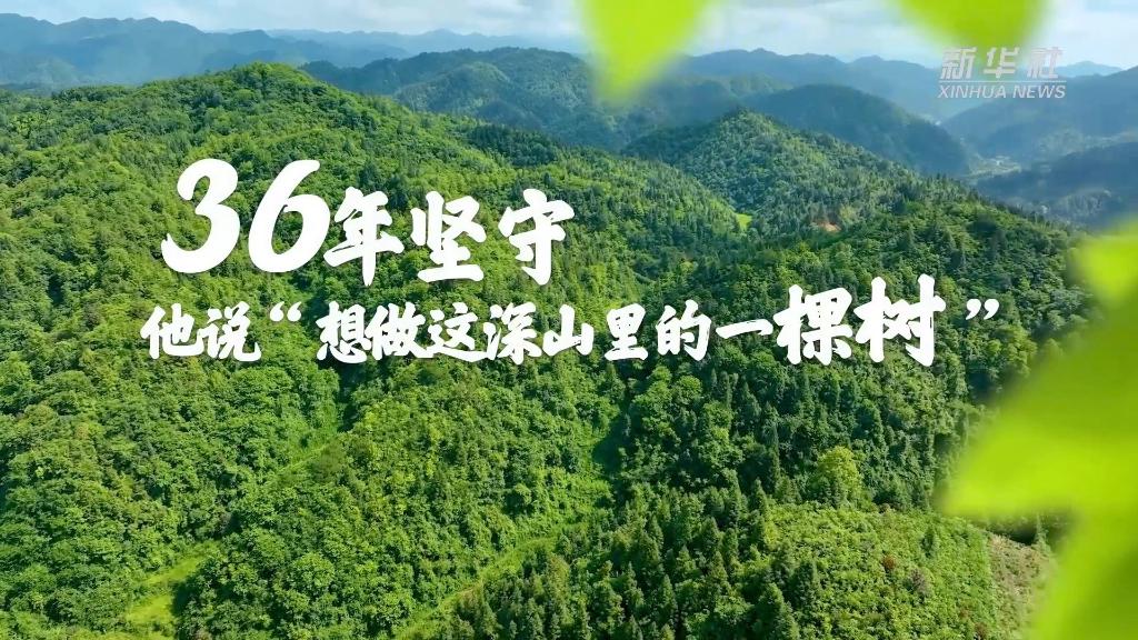 36年堅守！他說“想做這深山里的一棵樹”