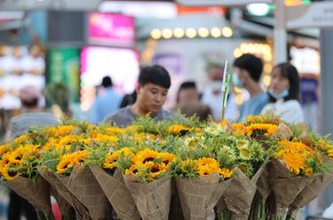 夜游斗南花市