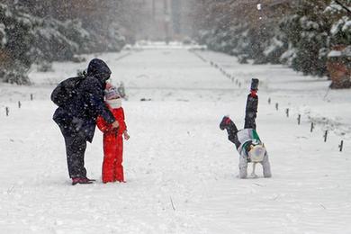 雪降布加勒斯特