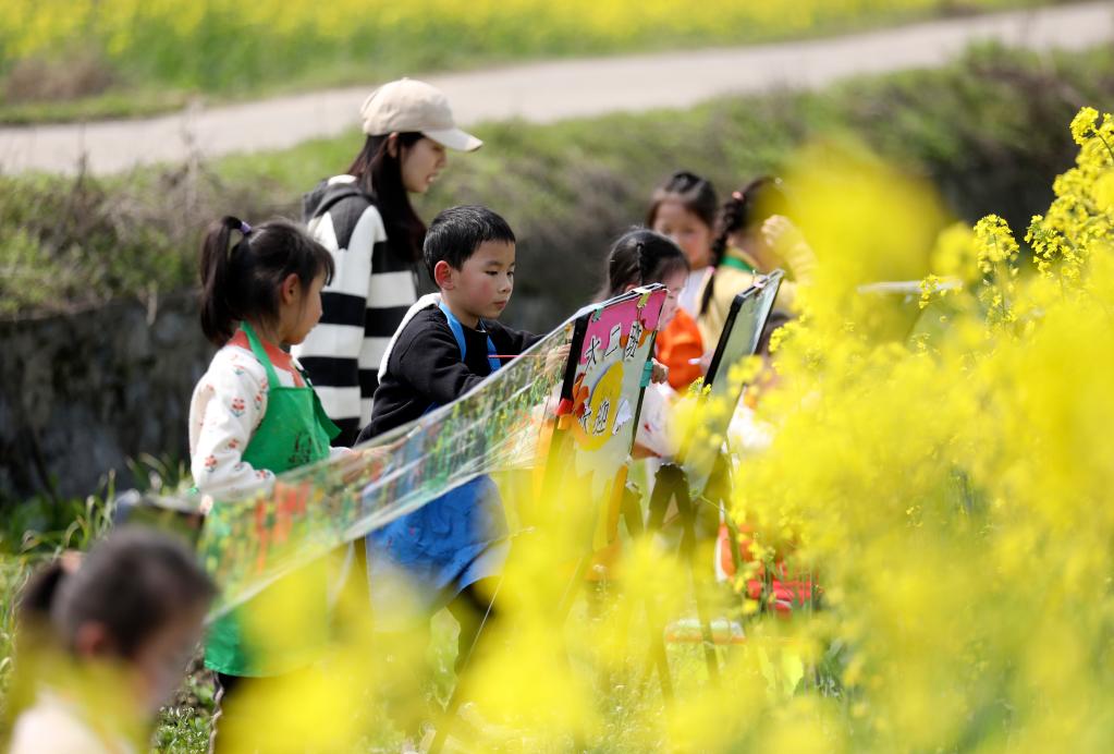 湖南資興：油菜花田“畫(huà)春天”