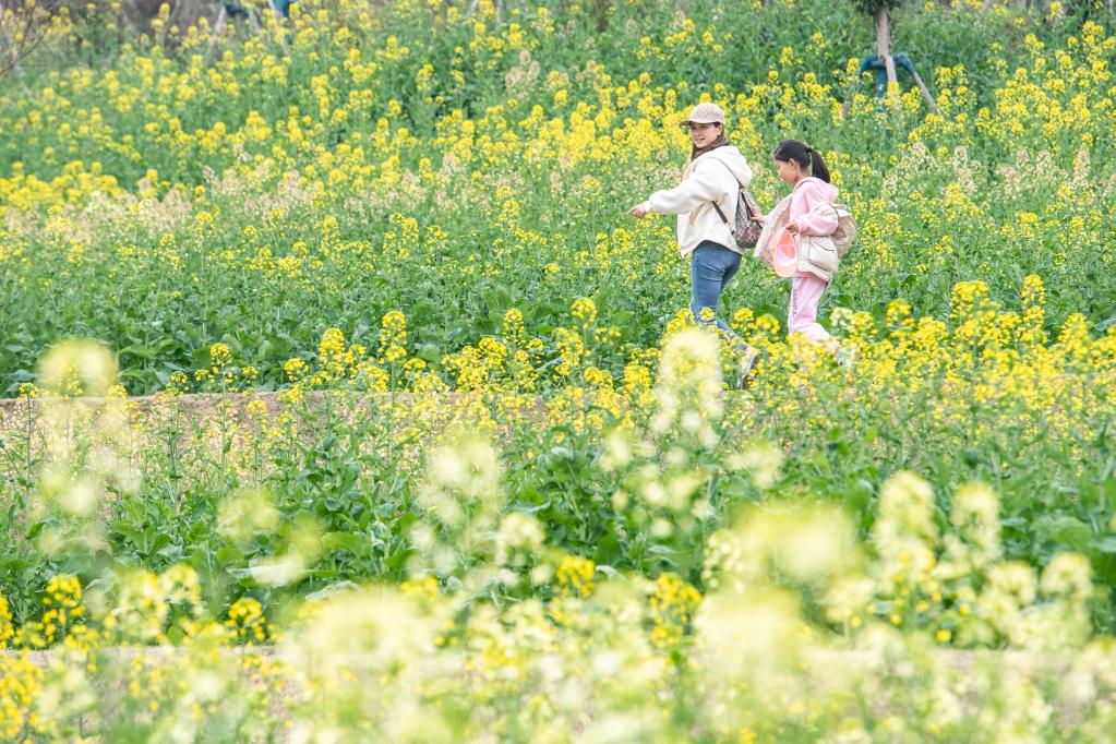 都市田園春色好