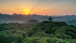 提升生態(tài)碳匯能力，植樹造林怎么干？